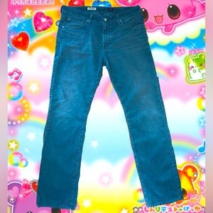 ✦ Adriano Goldschmied Corduroy Blue Vintage Pants ✦